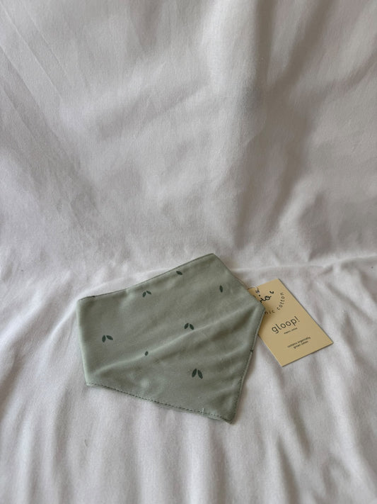 Babero Orgánico Verde